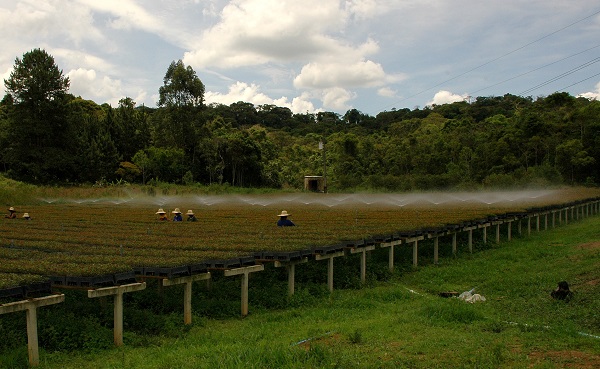 Parcelamento_de_dívidas_por_uso_de_recursos_hídricos_em_Minas