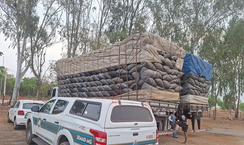 Ação visou coibir o uso de carvão vegetal de essência nativa, além de garantir a regularidade ambiental das empresas siderúrgicas quanto à poluição do ar